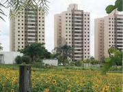 Apartamento para Venda em Campinas/SP Parque Prado 2 Quartos