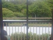 Apartamento para Venda em Campinas/SP Parque Prado 2 Quartos