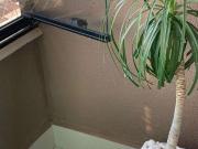 Apartamento para Venda em Campinas/SP Parque Prado 3 Quartos Apartamento para Venda em Campinas/SP Parque Prado 3 Quartos