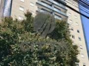 Apartamento para Venda em Campinas/SP Vila Itapura 3 Quartos