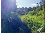 Apartamento para Venda em Campo Mourão/PR Jardim Alvorada