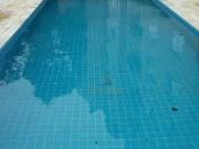 Apartamento para Venda em Cotia/SP Jardim Ísis 3 Quartos