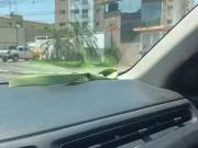 Apartamento para Venda em Cuiabá/MT Coxipó 3 Quartos