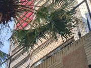 Apartamento para Venda em Fortaleza/CE Mucuripe 3 Quartos