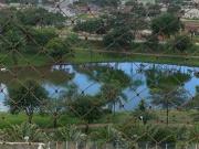 Apartamento para Venda em Goiânia/GO Jardim Atlântico 3...