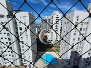 Apartamento para Venda em Guarujá/SP Enseada 1 Quartos