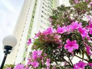 Apartamento para Venda em Guarulhos/SP Jardim Las Vegas...