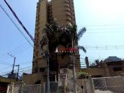 Apartamento para Venda em Guarulhos/SP Jardim Maia 3 Quartos