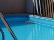 Apartamento para Venda em Guarulhos/SP Parque... Apartamento para Venda em Guarulhos/SP Parque...