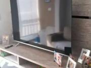 Apartamento para Venda em Guarulhos/SP Vila Augusta 2...