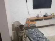 Apartamento para Venda em Guarulhos/SP Vila Nova...