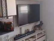 Apartamento para Venda em Guarulhos/SP Vila Rosália 2...