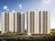 Apartamento para Venda em Hortolândia/SP Parque dos...