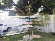 APARTAMENTO PARA VENDA EM INDAIATUBA/SP  APARTAMENTO...