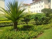 Apartamento para Venda em Indaiatuba/SP Jardim Juliana 3...