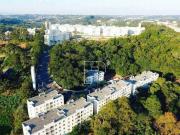 Apartamento para venda em Jardim Caiapiá em Cotia São...