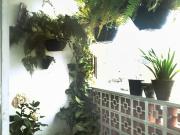 Apartamento para venda em Jardim São Paulo em Guarulhos...