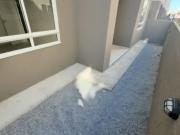 Apartamento para Venda em João Pessoa/PB Gramame 2 Quartos