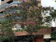 Apartamento para venda em Vila Lanzara em Guarulhos São...