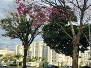 Apartamento para Venda em Maringá/PR Jardim América 2...