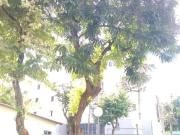 Apartamento para Venda em Mogi das Cruzes/SP Jardim...