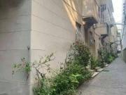 Apartamento para Venda em Niterói/RJ Icaraí 2 Quartos