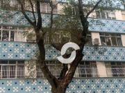 Apartamento para Venda em Niterói/RJ Icaraí 3 Quartos