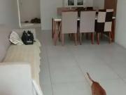 Apartamento para Venda em Niterói/RJ Piratininga 3 Quartos