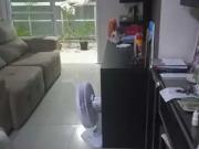 Apartamento para Venda em Niterói/RJ São Francisco 3 Quartos