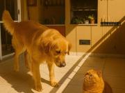 Apartamento para venda em Paraíso Do Morumbi em São...