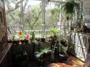 Apartamento para Venda em Petrópolis/RJ Centro 4 Quartos