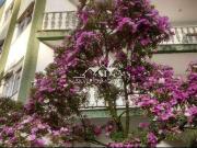 Apartamento para Venda em Petrópolis/RJ Saldanha Marinho...