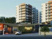 Apartamento para Venda em Porto Alegre/RS Cristal 3 Quartos