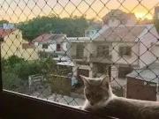 Apartamento para Venda em Porto Alegre/RS Jardim Itu...