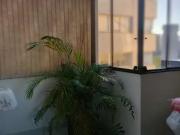 Apartamento para Venda em Porto Alegre/RS Menino Deus 2...