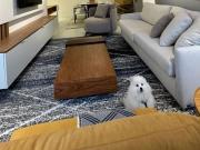 Apartamento para Venda em Porto Alegre/RS Teresópolis 3...