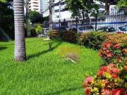 Apartamento para Venda em Recife/PE Casa Amarela 3 Quartos