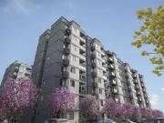 Apartamento para Venda em Recife/PE Caxangá 2 Quartos