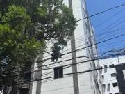 Apartamento para Venda em Recife/PE Madalena 3 Quartos