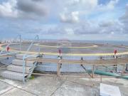 Apartamento para Venda em Recife/PE Monteiro 4 Quartos