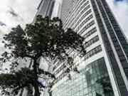 Apartamento para Venda em Recife/PE Santo Amaro 4 Quartos