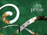 Apartamento para Venda em Recife/PE Várzea 2 Quartos