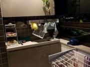 Apartamento para Venda em Recife/PE Várzea 3 Quartos