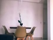 Apartamento para Venda em Ribeirão Preto/SP Jardim...
