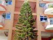 Apartamento para Venda em Rio de Janeiro/RJ Abolição 2...