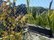 Apartamento para Venda em Rio de Janeiro/RJ Botafogo 2...