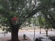 Apartamento para Venda em Rio de Janeiro/RJ Botafogo 2...