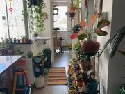 Apartamento para Venda em Rio de Janeiro/RJ Botafogo 2...