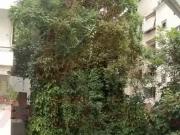 Apartamento para Venda em Rio de Janeiro/RJ Centro