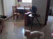 Apartamento para Venda em Rio de Janeiro/RJ Copacabana 3...